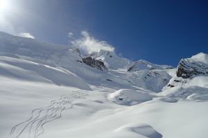 Esquí de montaña en Canadá : Icefall lodge